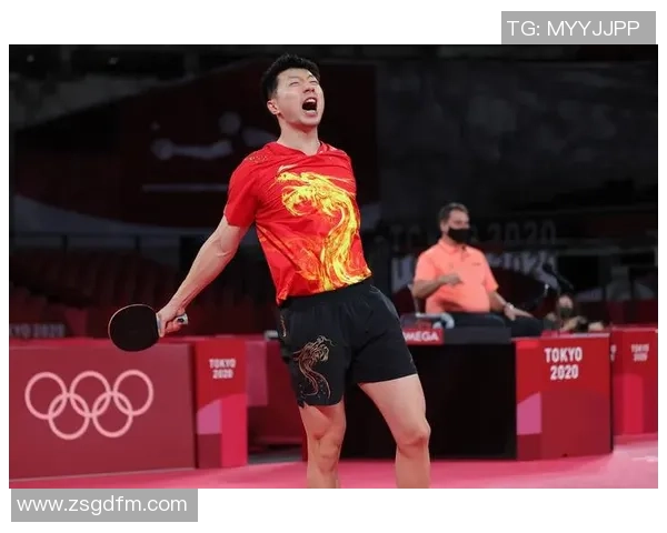 乒乓球实力排行榜发布杭州乒乓球队荣获第三名成就辉煌