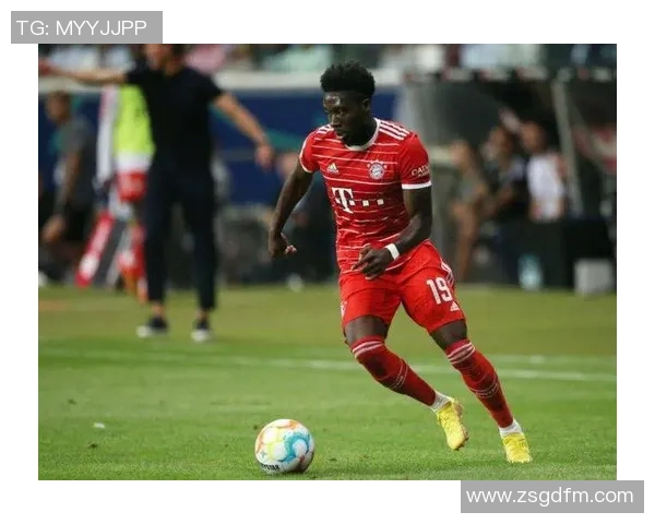 正反话足球明星视频揭示球场背后的真实与虚幻