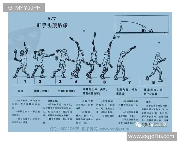 成都羽毛球队速度对比深度解析与战术探讨 成都羽毛球队速度对比深度解析与战术探讨