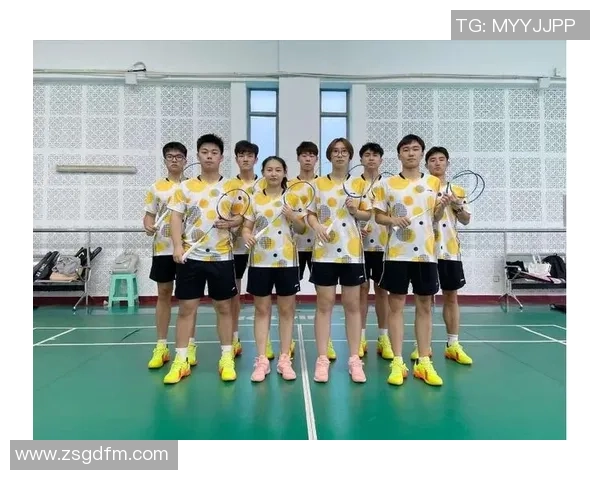 南京羽毛球队进攻策略分析与得失总结探讨