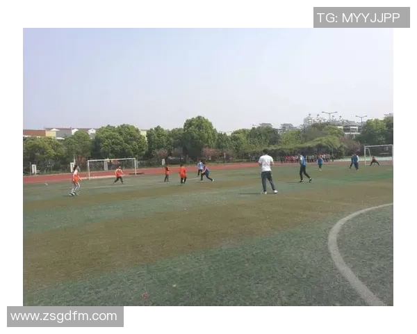 成都足球队杯赛技术表现分析与战术探讨