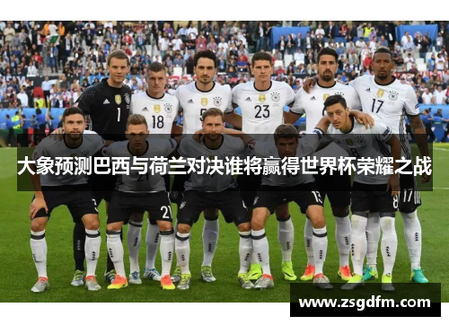 大象预测巴西与荷兰对决谁将赢得世界杯荣耀之战