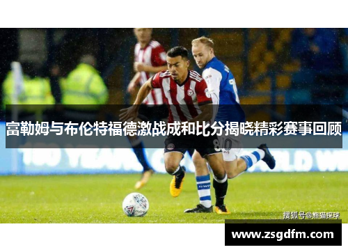 富勒姆与布伦特福德激战成和比分揭晓精彩赛事回顾